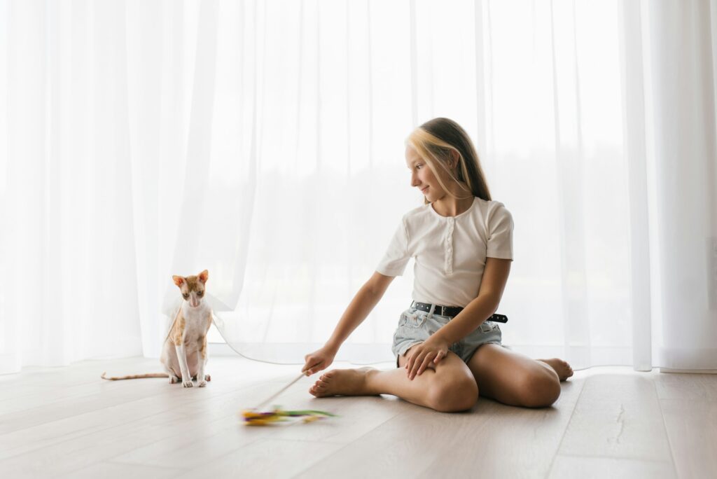 Caucasian teenage girl plays with a cornish rex cat at home on a sunny day, focusing on a pet