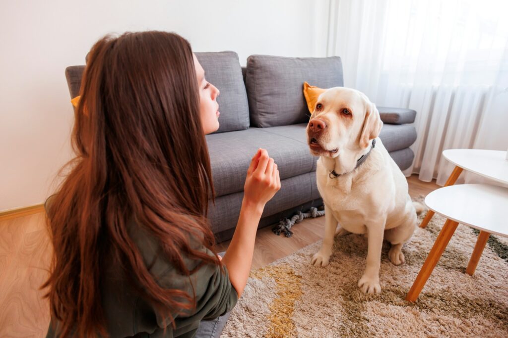 Woman teaching dog tricks and giving him treats