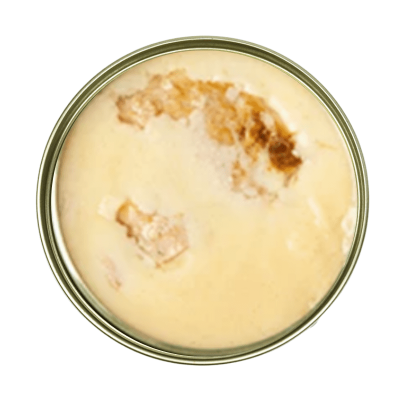 未命名的设计 (2)