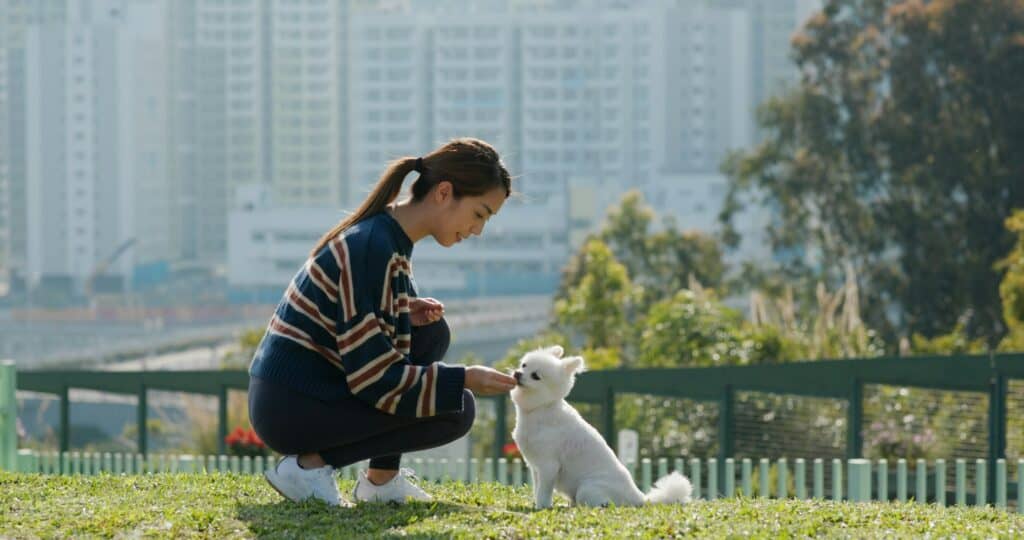 Woman gives treat to her dog