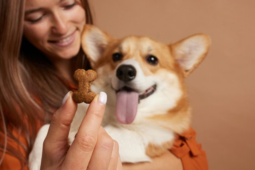 Woman giving her dog delicious dog food in the shape of a bone