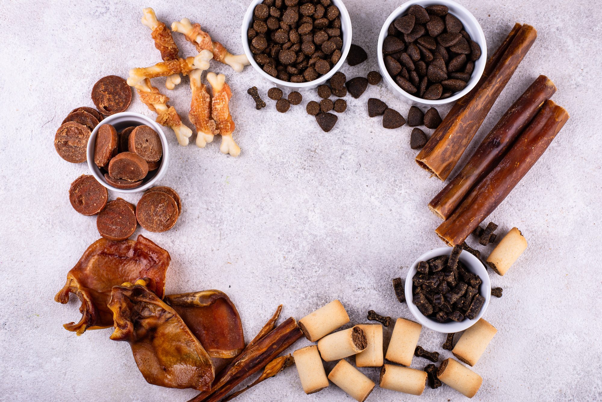 Assortment of different dog treats and snack