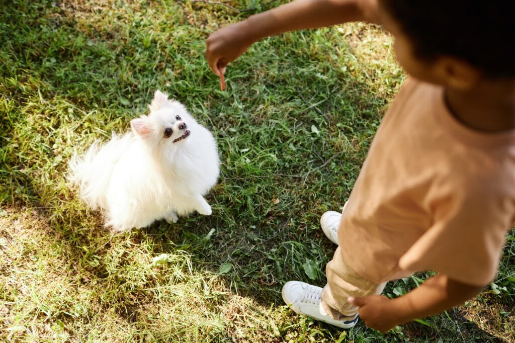 Boy Treating His Dog