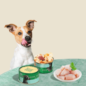 Premium Canned Dog Food