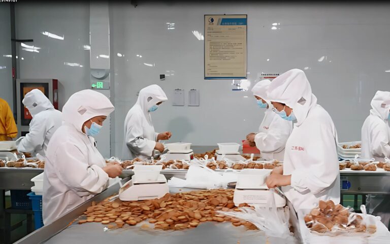 卸売犬用おやつ