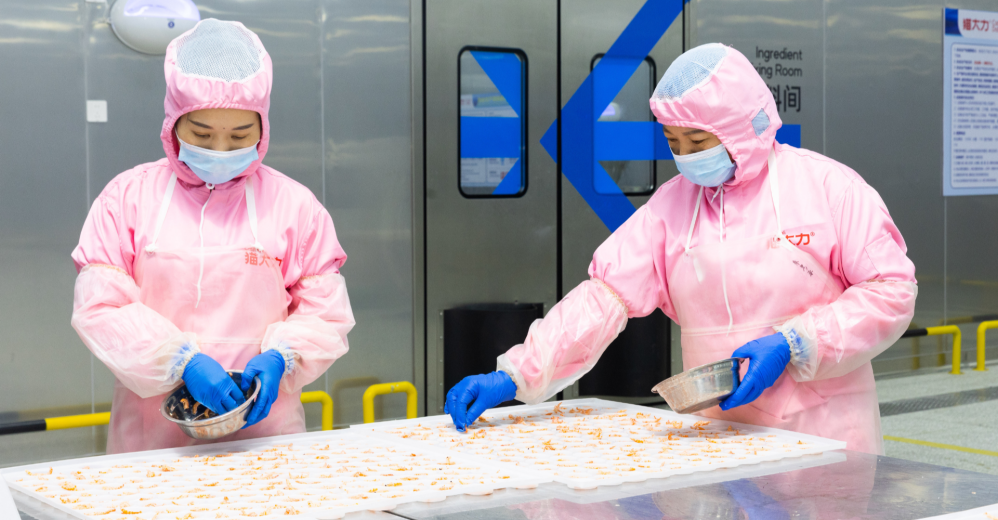 ODM private label pet treats with customized processing and quality inspection