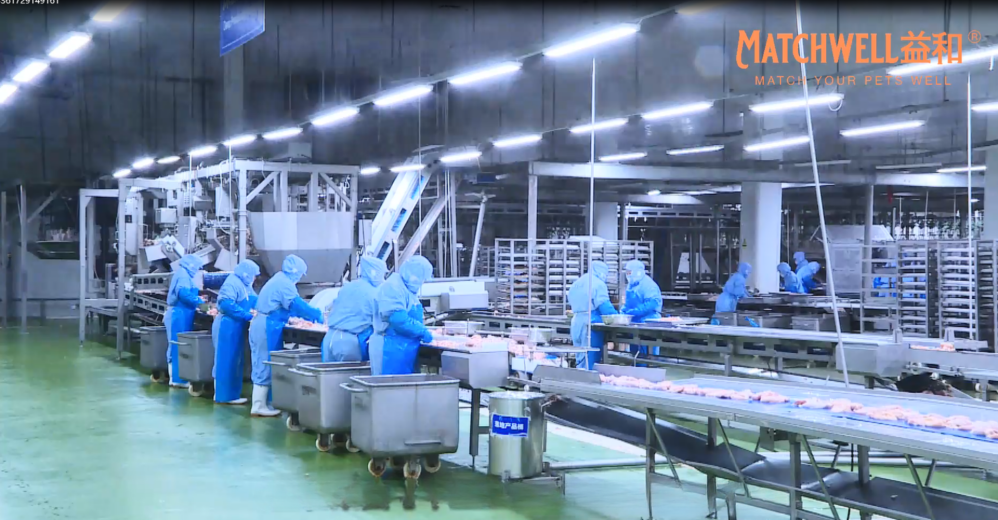 Private label pet treat manufacturer production line with large-scale OEM and ODM capacity