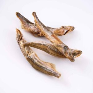 Freeze-Dried Capelin | Wholesale Cat & Dog Treats & Private Label Options